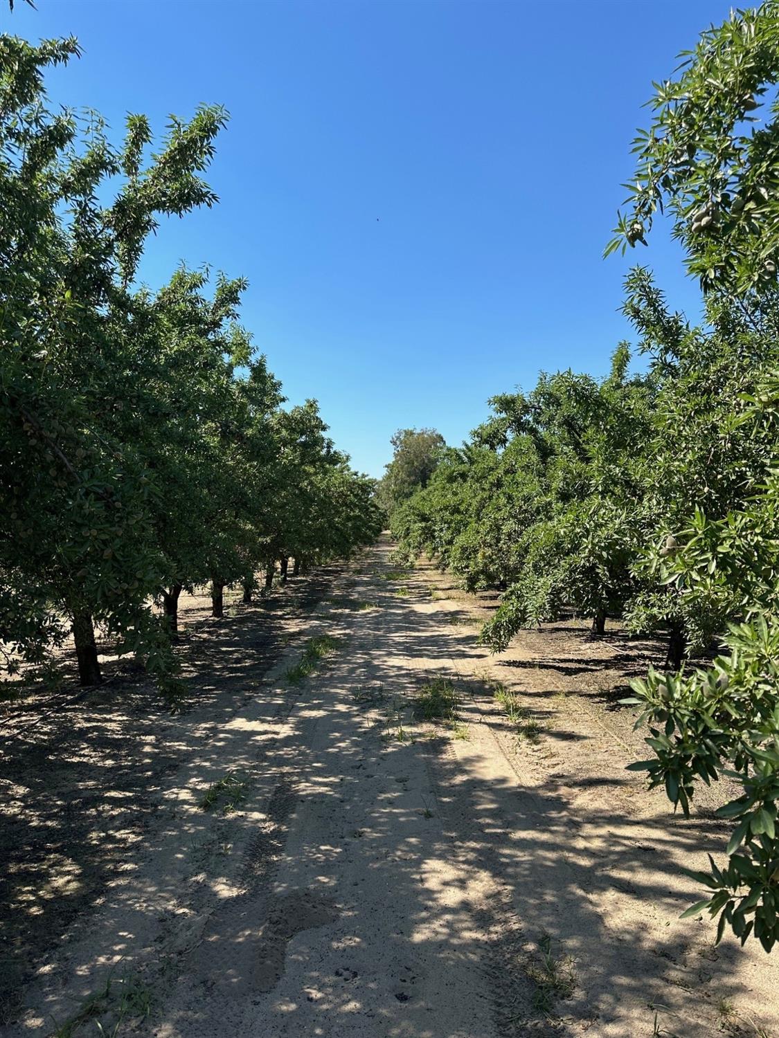 Central Avenue, Winton, California image 3