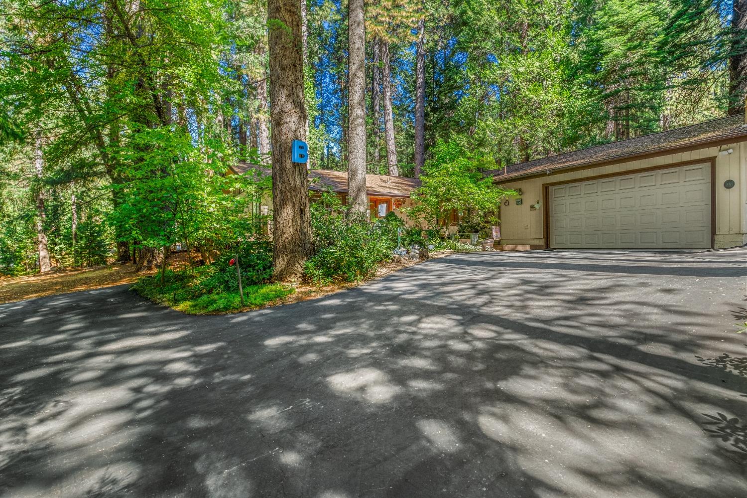 Apple Creek Court, Pollock Pines, California image 15