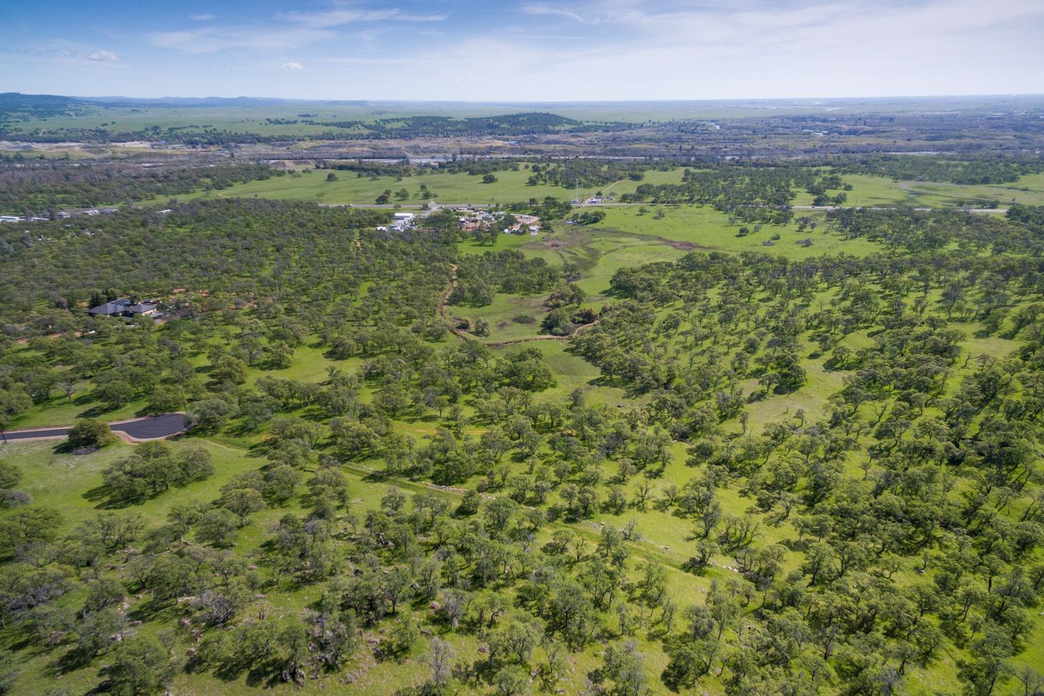 Dry Oak Court, Browns Valley, California image 11