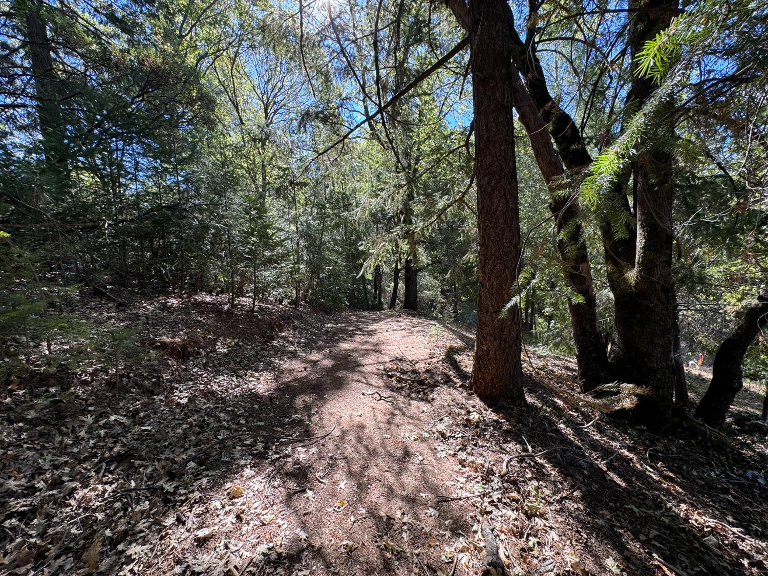 Detail Gallery Image 22 of 23 For 27165 Norton Grade Rd, Colfax,  CA 95713 - 4 Beds | 2 Baths