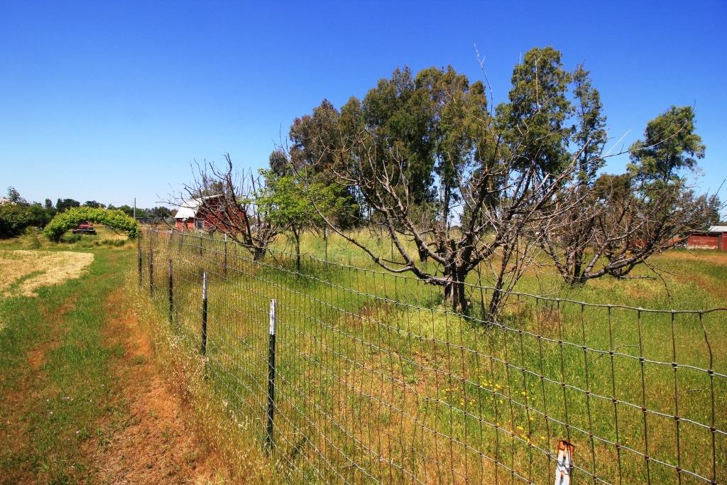 Detail Gallery Image 51 of 83 For 12038 Clay Station Rd, Herald,  CA 95638 - 3 Beds | 2 Baths