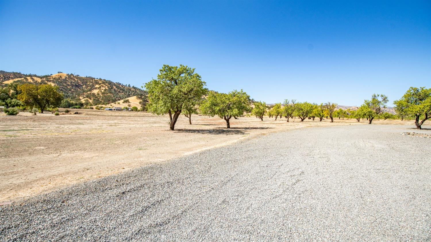 Detail Gallery Image 6 of 79 For 19880 County Road 79, Capay,  CA 95607 - 3 Beds | 3 Baths