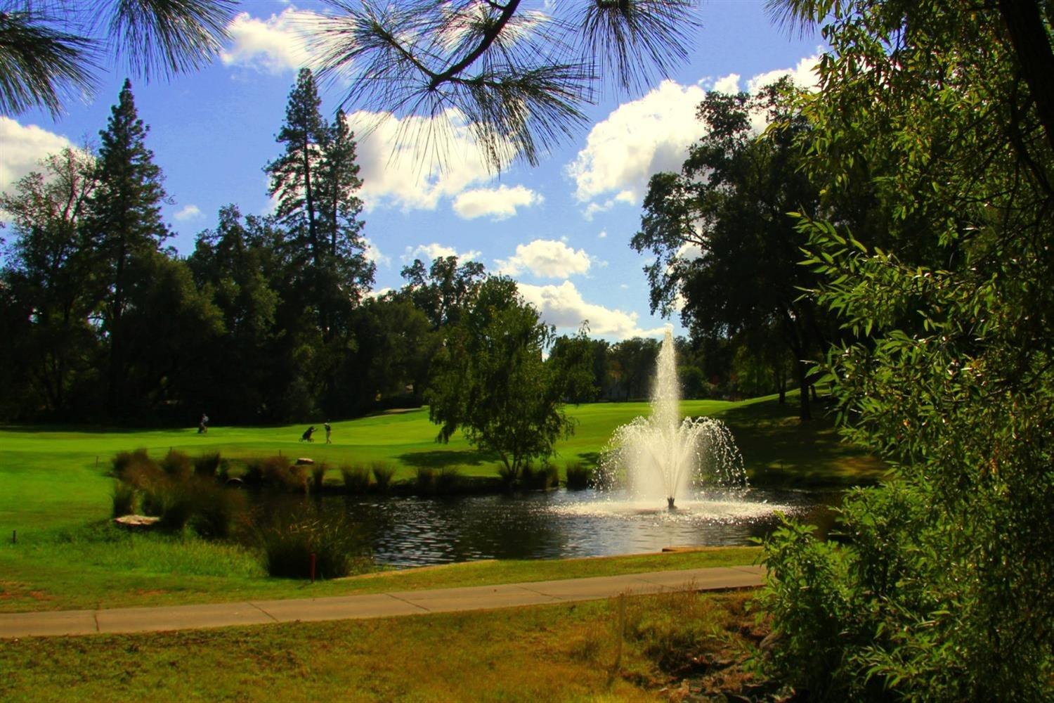 Lake Forest Drive, Penn Valley, California image 12