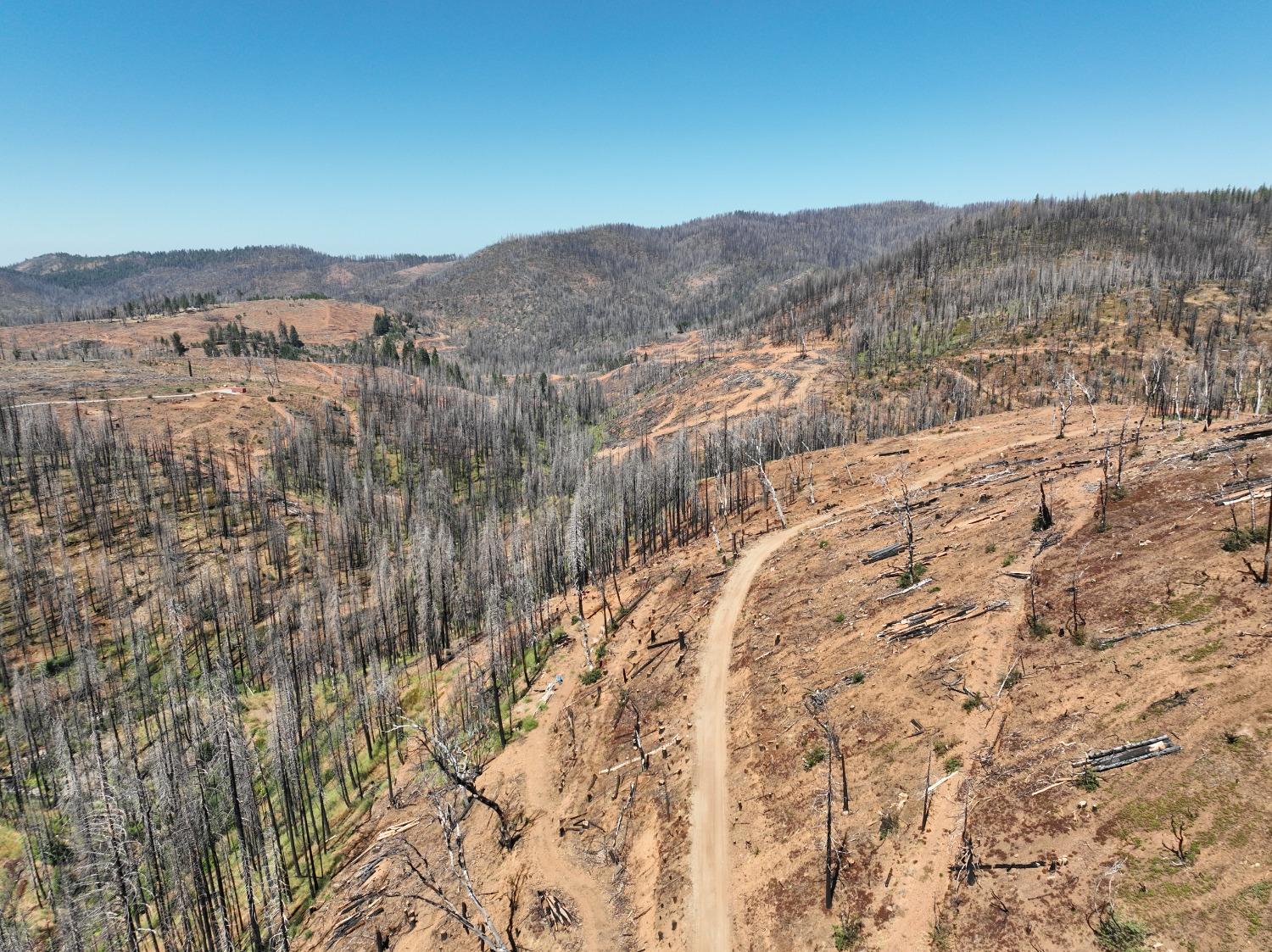 Big Canyon Loop Road, Grizzly Flats, California image 7