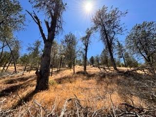 Meadowview Rd, River Pines, California image 6