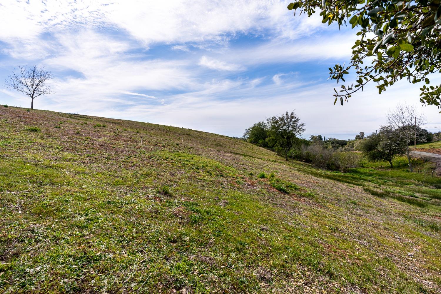 Detail Gallery Image 15 of 39 For 3180 Rattlesnake Road, Newcastle,  CA 95658 - – Beds | – Baths