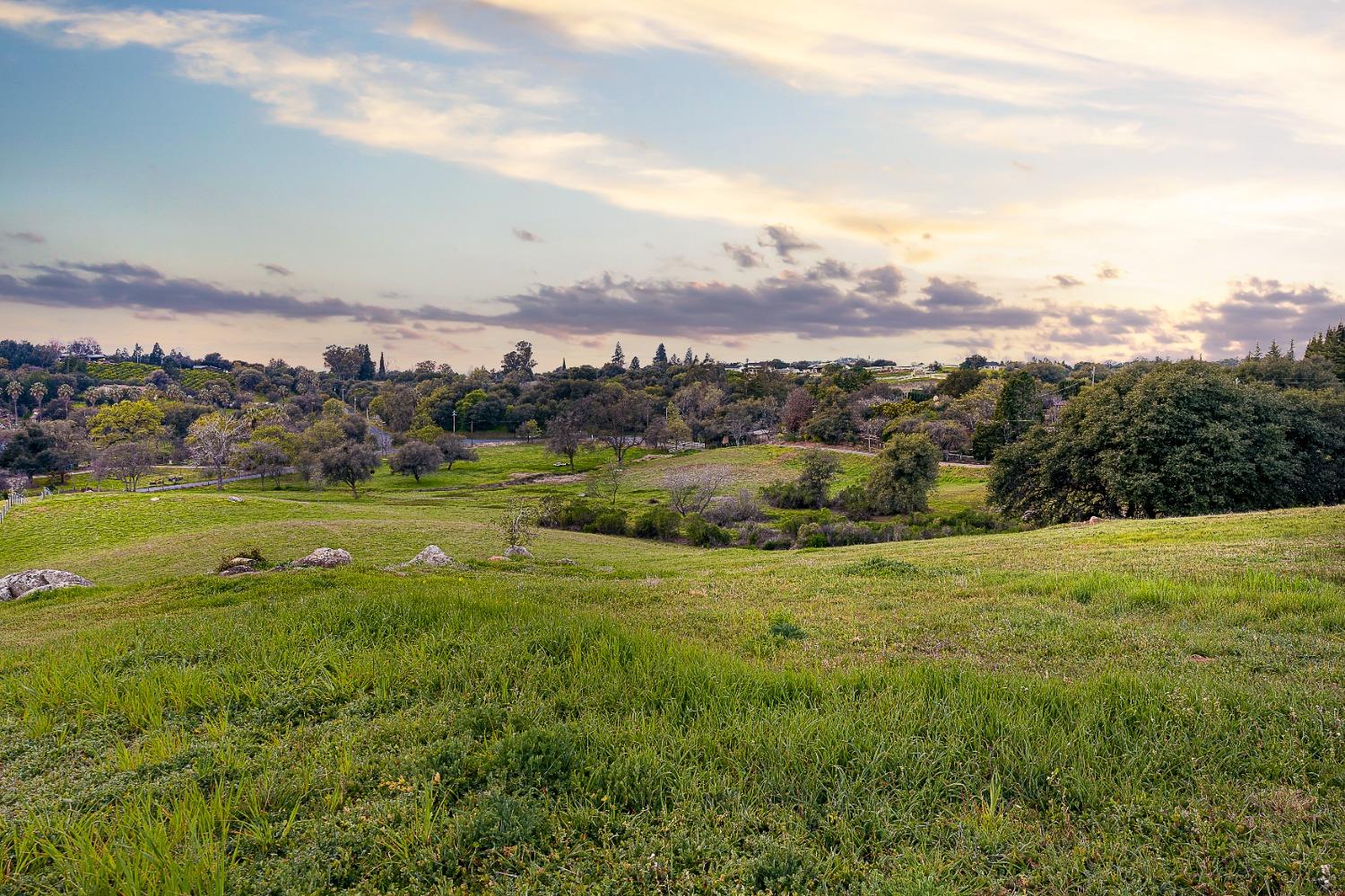 Detail Gallery Image 14 of 39 For 3180 Rattlesnake Road, Newcastle,  CA 95658 - – Beds | – Baths