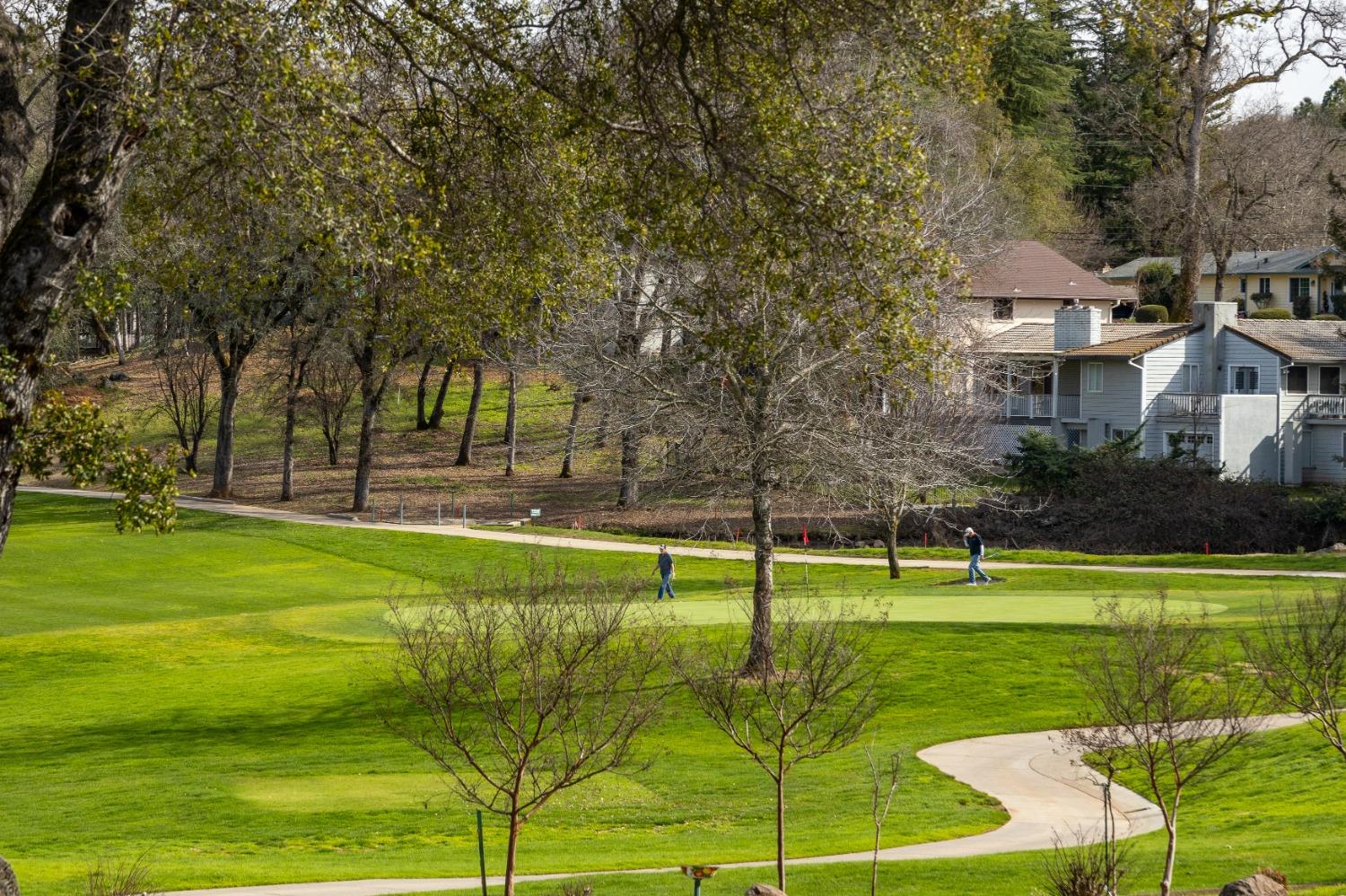 Lake Forest Drive, Penn Valley, California image 3