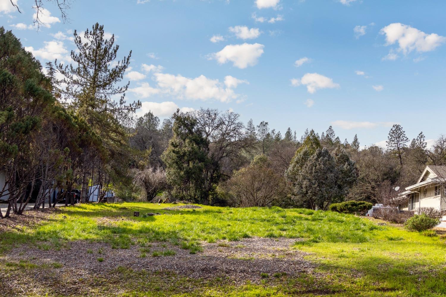 Lake Forest Drive, Penn Valley, California image 2