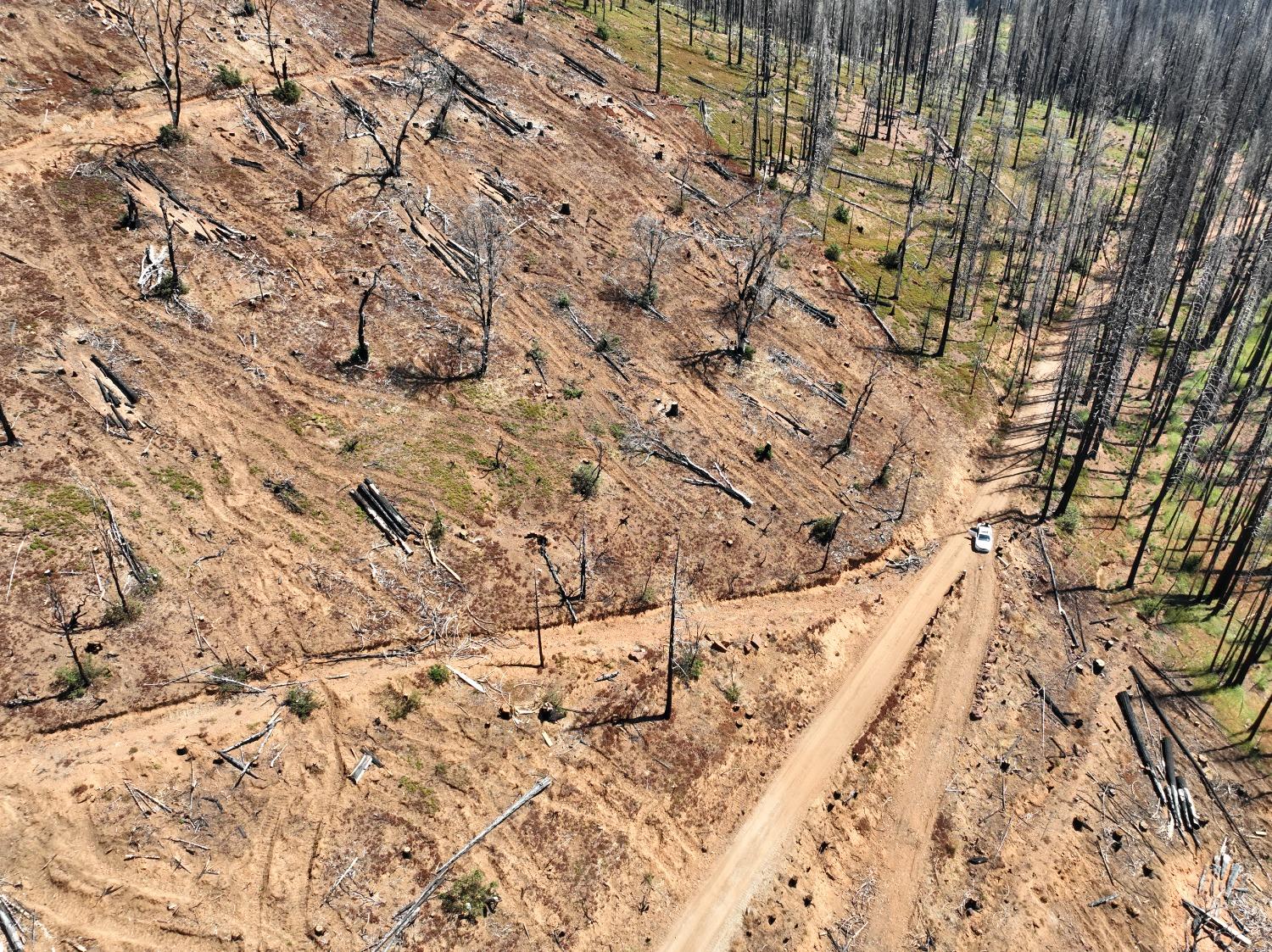 Big Canyon Loop Road, Grizzly Flats, California image 18