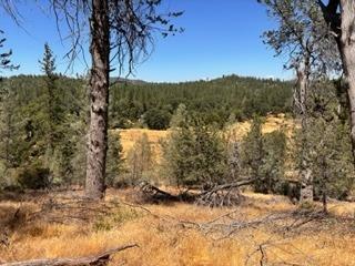 Meadowview Rd, River Pines, California image 18