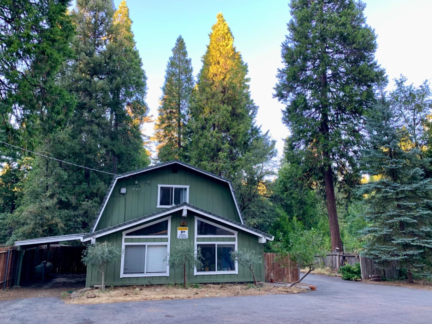 Pony Express Trail, Pollock Pines, California image 1