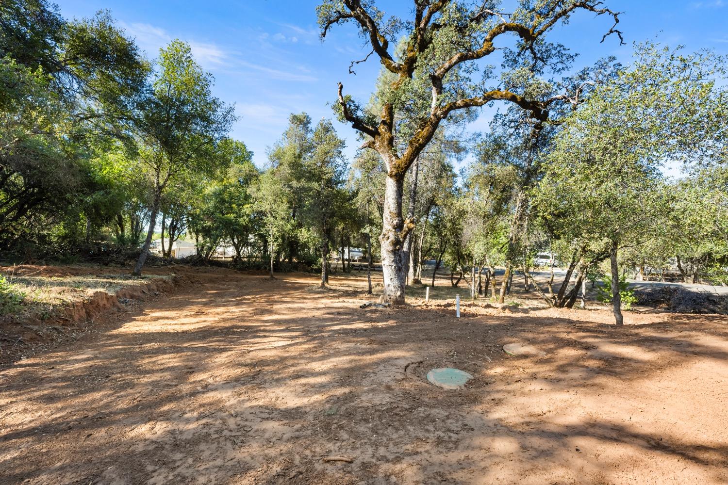 Detail Gallery Image 52 of 76 For 3151 Dyer Way, Placerville,  CA 95667 - 4 Beds | 3/1 Baths