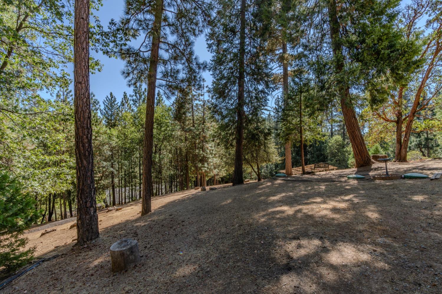 Detail Gallery Image 12 of 58 For 25600 Meadow Dr, Pioneer,  CA 95666 - 2 Beds | 2 Baths