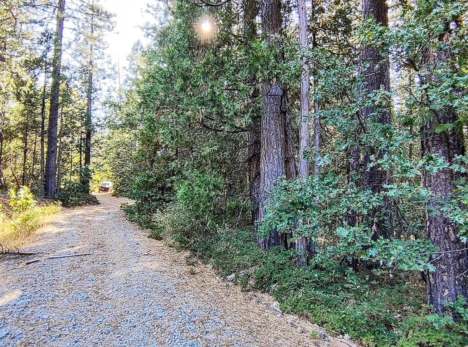 Detail Gallery Image 27 of 34 For 20392 Madrone Springs Rd, Nevada City,  CA 95959 - – Beds | – Baths