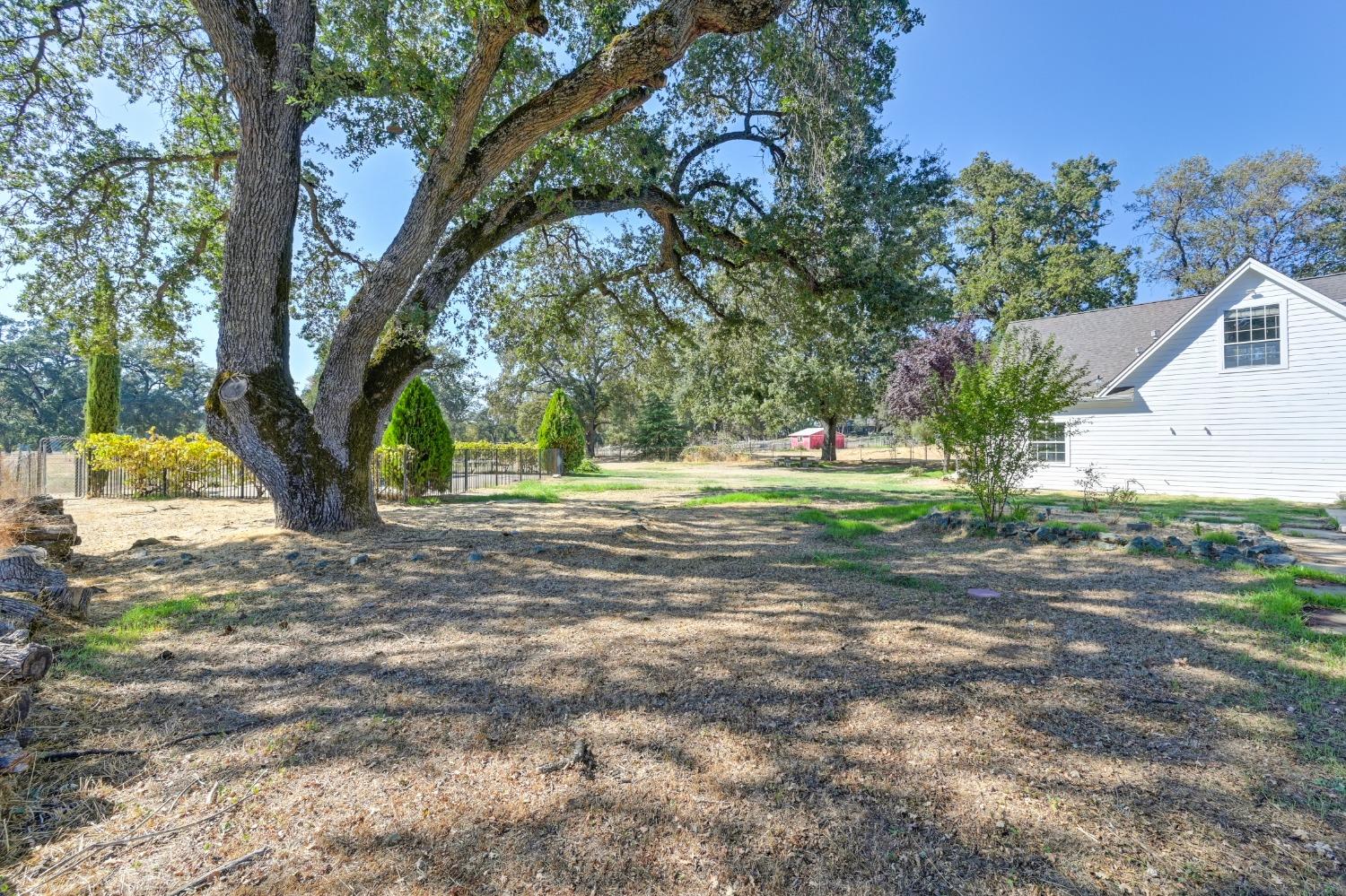 Gray Oak Drive, Rough and Ready, California image 47