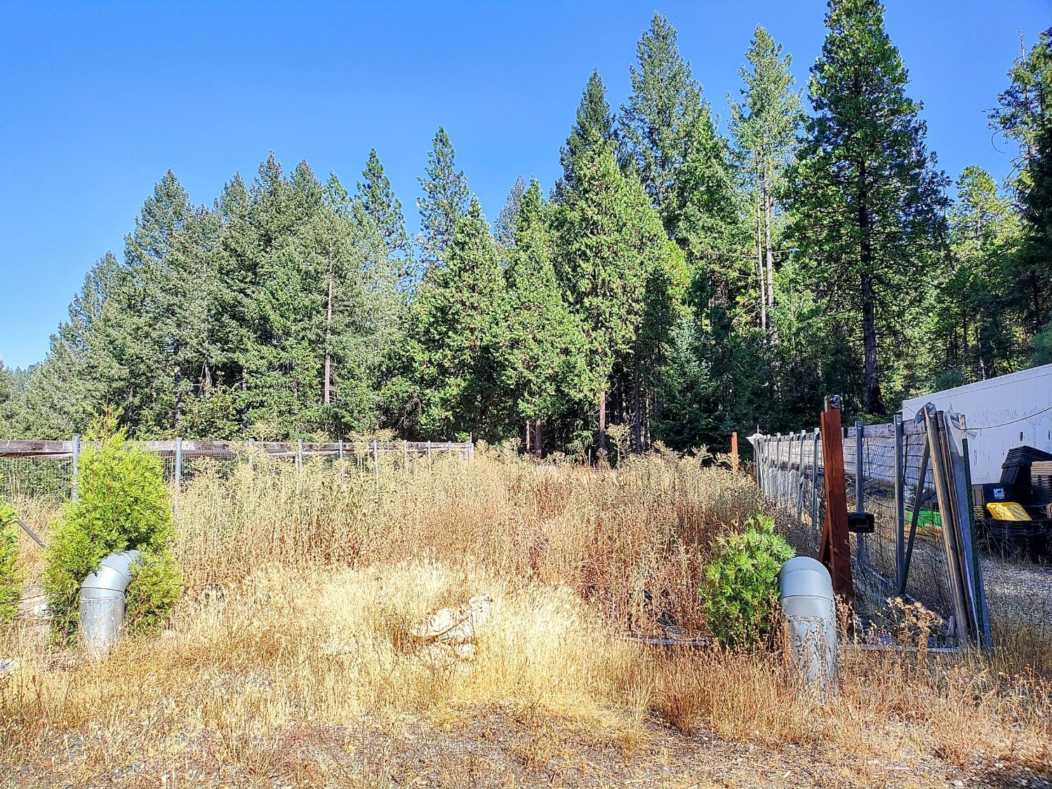 Detail Gallery Image 15 of 34 For 20392 Madrone Springs Rd, Nevada City,  CA 95959 - – Beds | – Baths