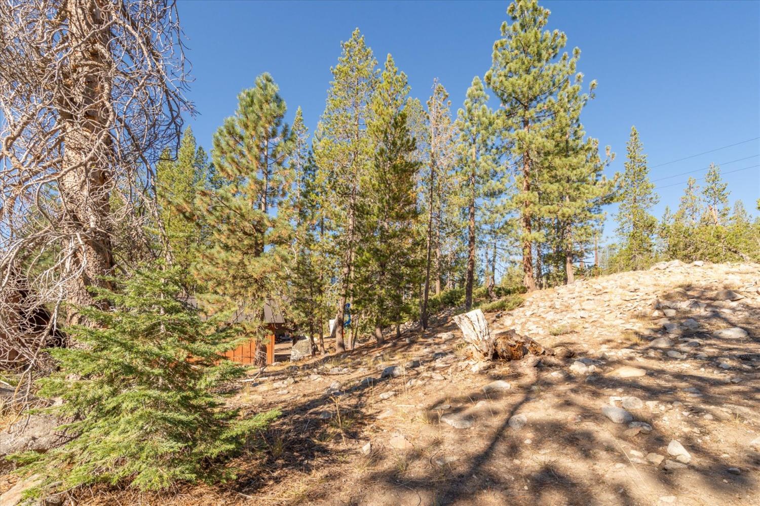 Detail Gallery Image 13 of 24 For 50926 Conifer Dr, Soda Springs,  CA 95728 - – Beds | – Baths