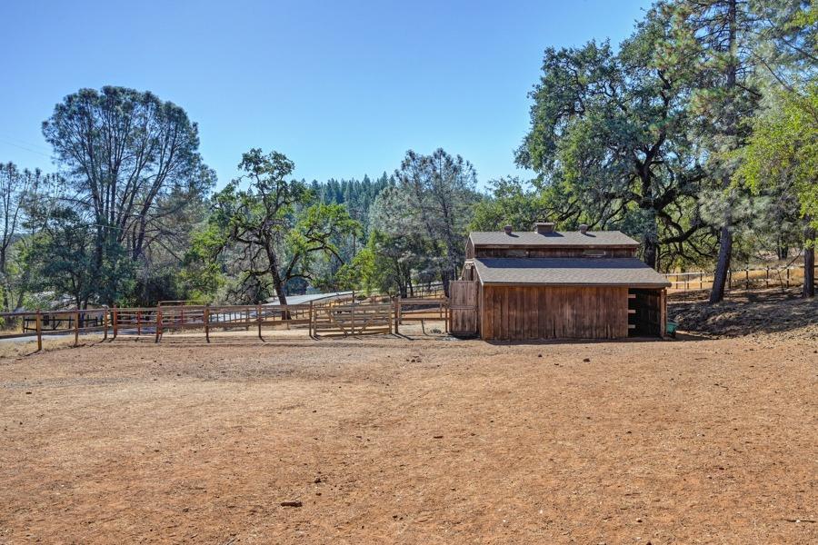 Grouse Ridge Trail, Cool, California image 23