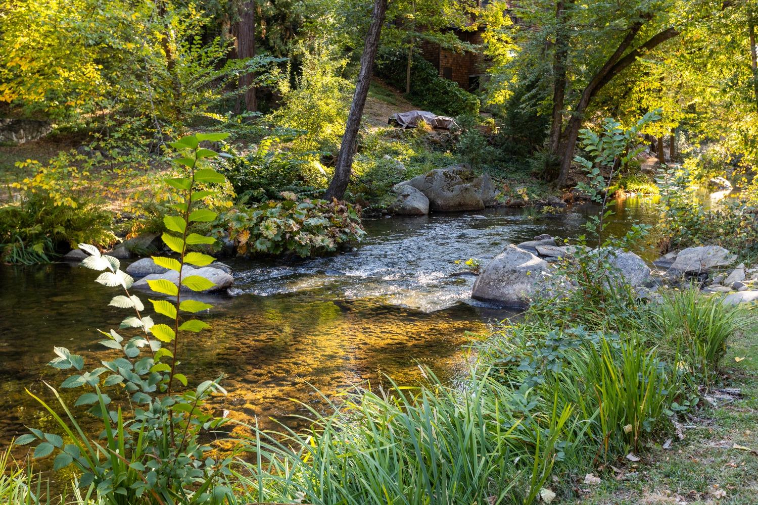 Detail Gallery Image 35 of 44 For 122 Grove St, Nevada City,  CA 95959 - 2 Beds | 2/1 Baths