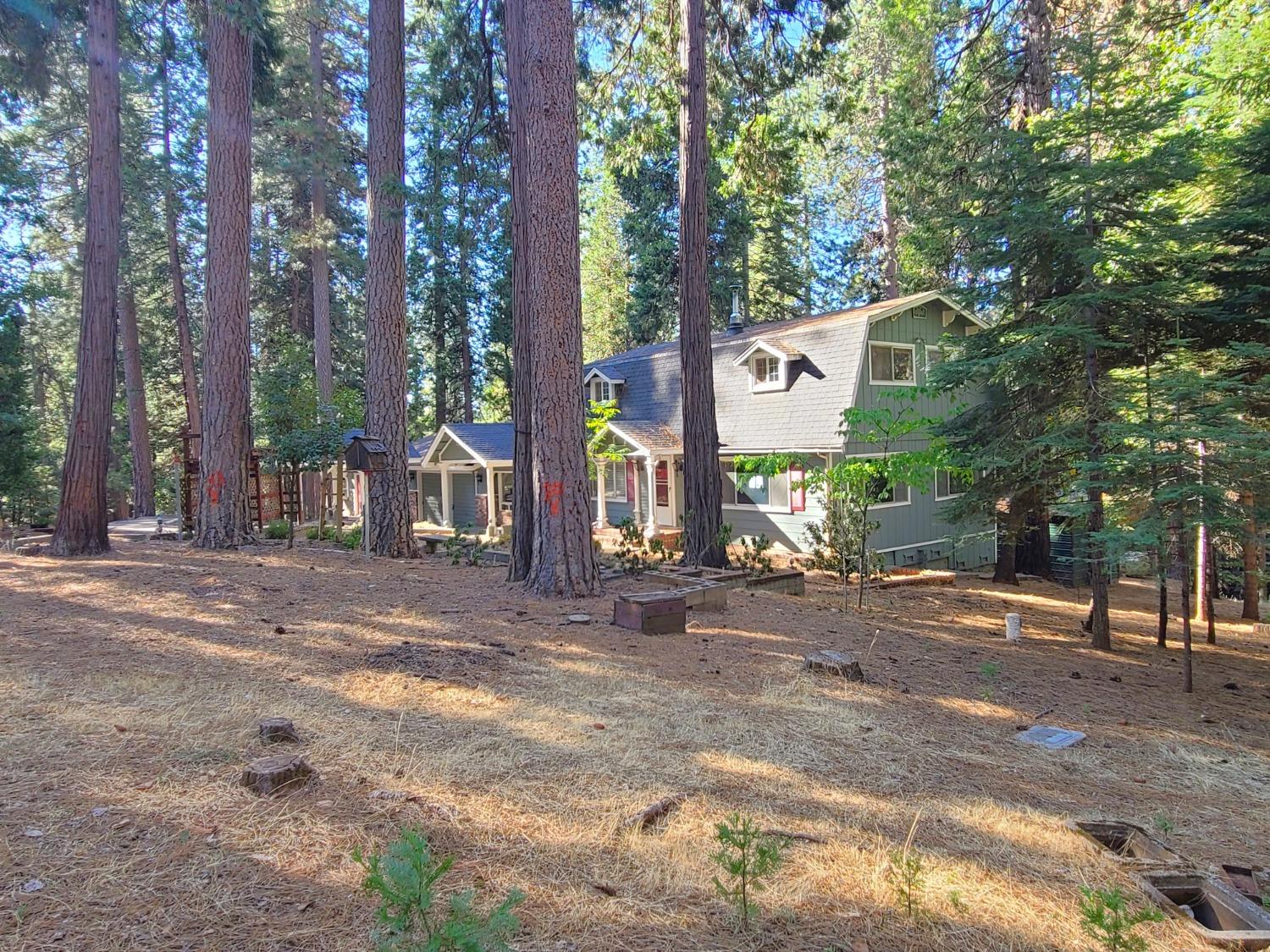 Detail Gallery Image 9 of 68 For 6021 Longs Creek Trl, Pollock Pines,  CA 95726 - 3 Beds | 2 Baths