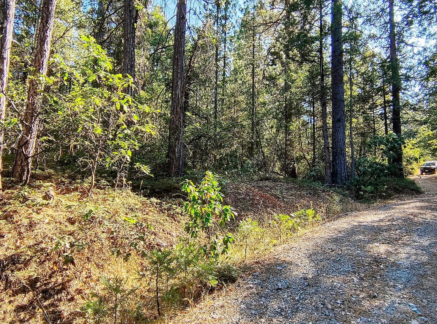 Detail Gallery Image 30 of 34 For 20392 Madrone Springs Rd, Nevada City,  CA 95959 - – Beds | – Baths