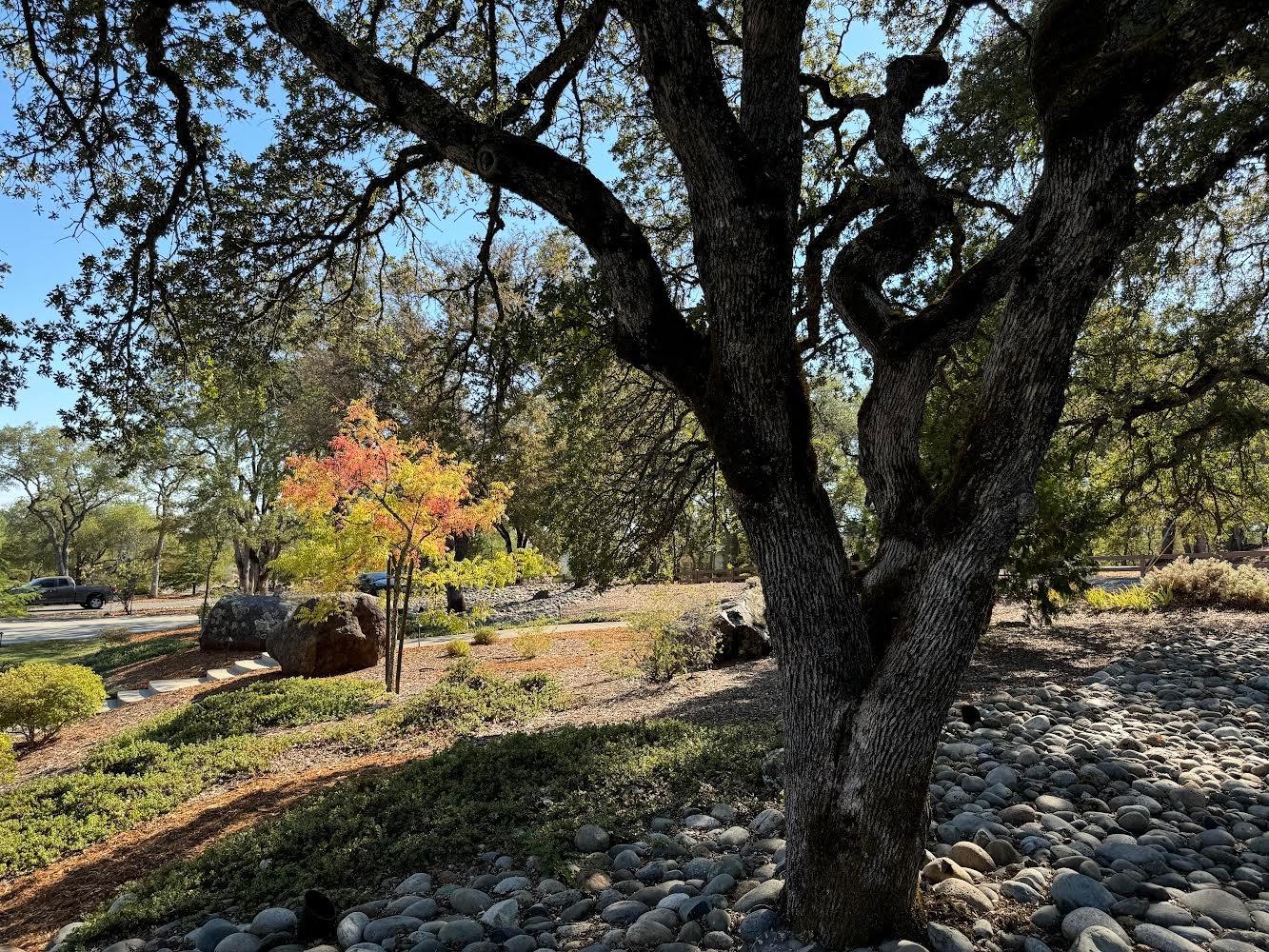 Detail Gallery Image 38 of 38 For 4062 Helen Ln, Auburn,  CA 95602 - 4 Beds | 2 Baths