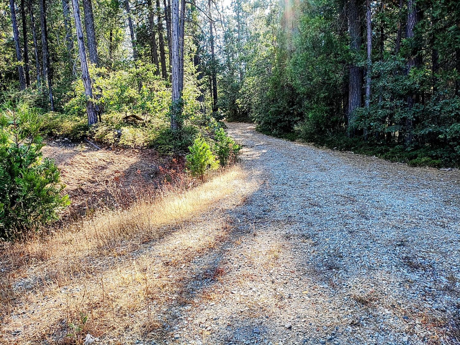 Detail Gallery Image 21 of 34 For 20392 Madrone Springs Rd, Nevada City,  CA 95959 - – Beds | – Baths