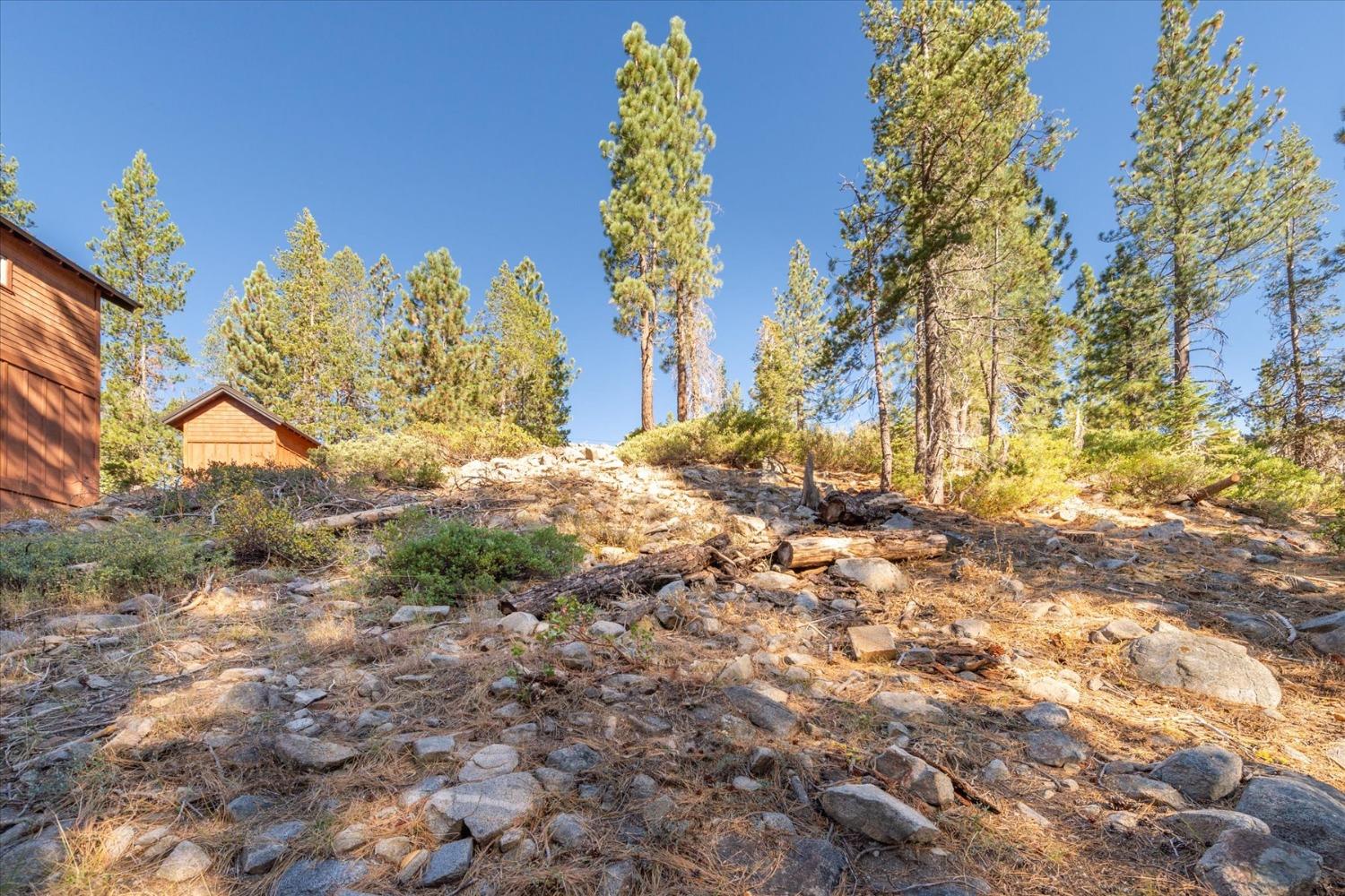 Detail Gallery Image 6 of 24 For 50926 Conifer Dr, Soda Springs,  CA 95728 - – Beds | – Baths