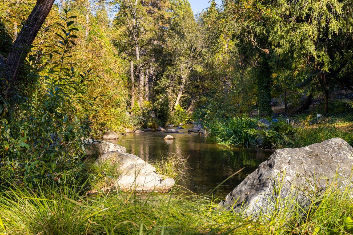 Detail Gallery Image 4 of 44 For 122 Grove St, Nevada City,  CA 95959 - 2 Beds | 2/1 Baths