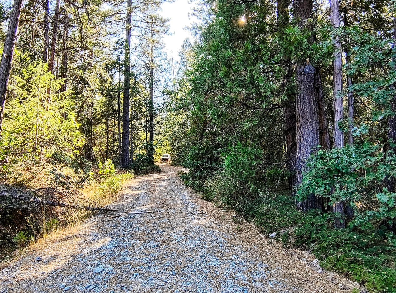 Detail Gallery Image 28 of 34 For 20392 Madrone Springs Rd, Nevada City,  CA 95959 - – Beds | – Baths