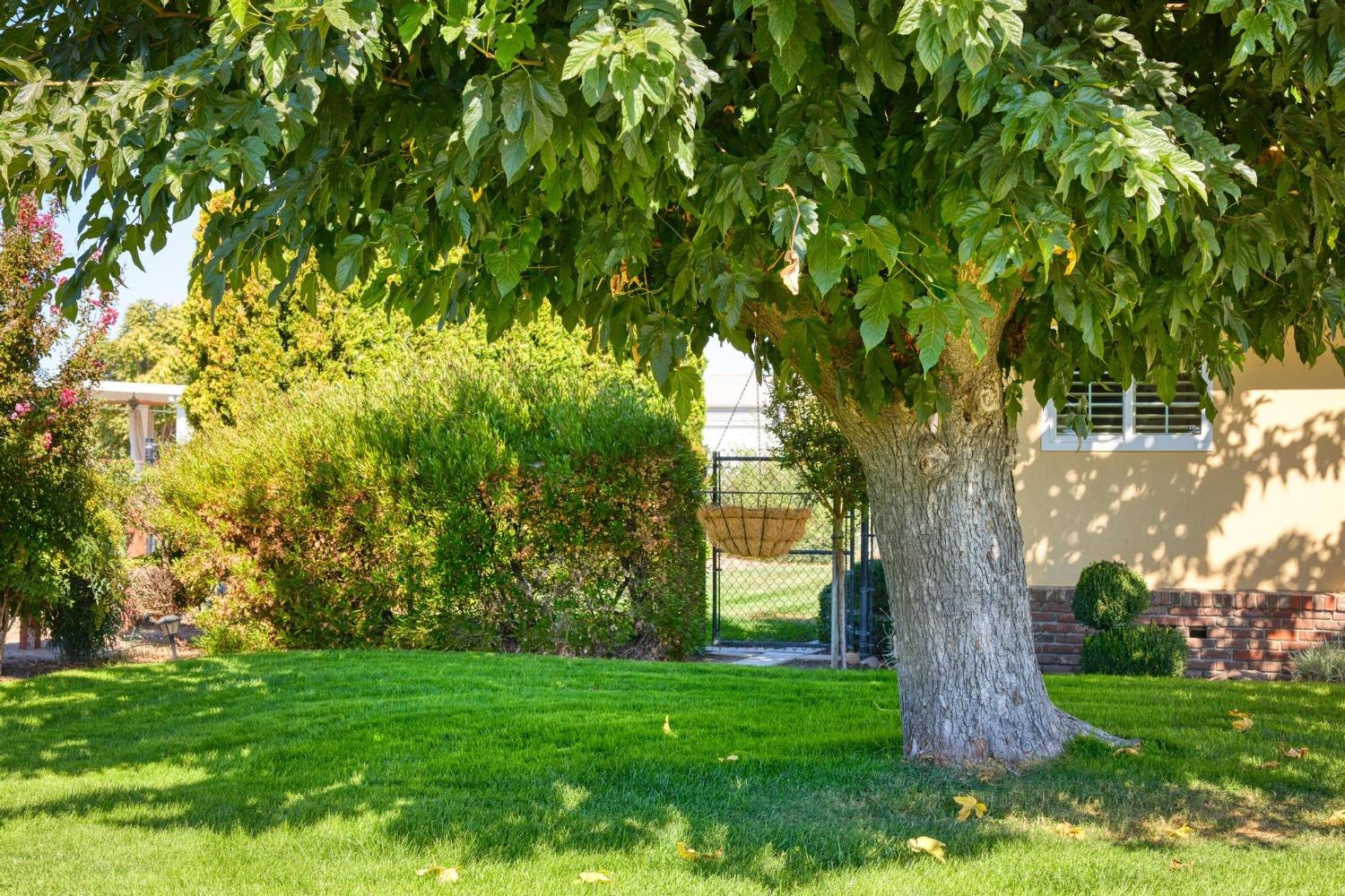 Detail Gallery Image 32 of 52 For 6409 Northland Rd, Manteca,  CA 95336 - 3 Beds | 2 Baths