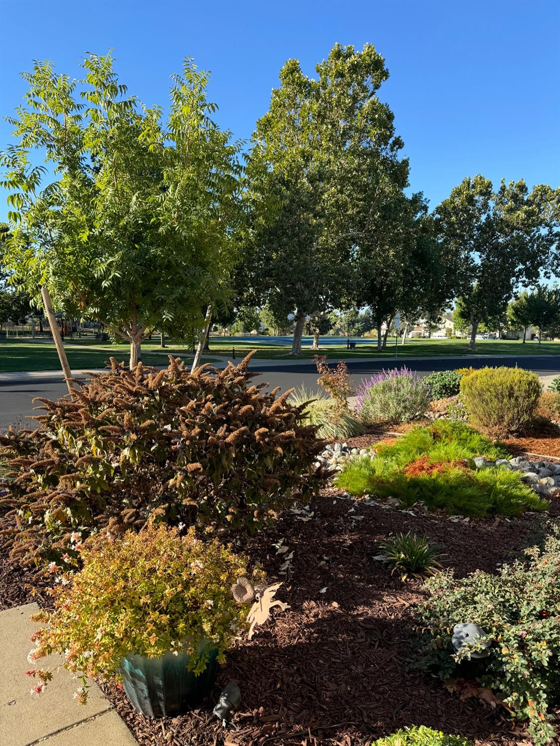 Detail Gallery Image 6 of 37 For 6212 Night Ridge Way, Rocklin,  CA 95765 - 3 Beds | 2 Baths