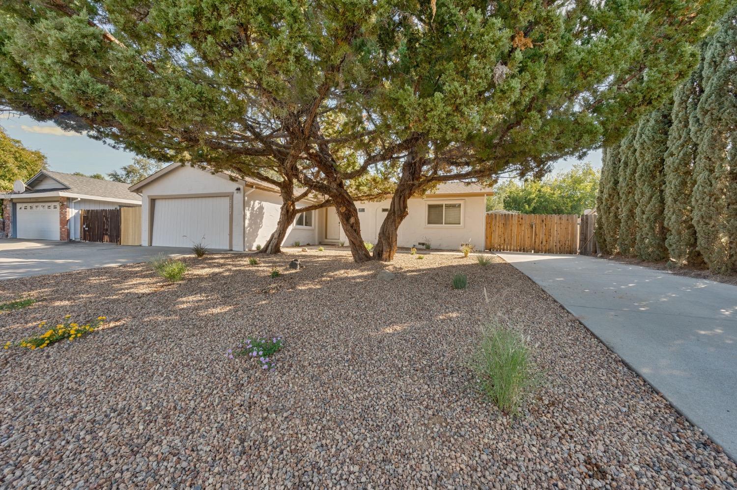 Detail Gallery Image 2 of 35 For 2520 Casa Del Oro Way, Rocklin,  CA 95677 - 3 Beds | 2 Baths