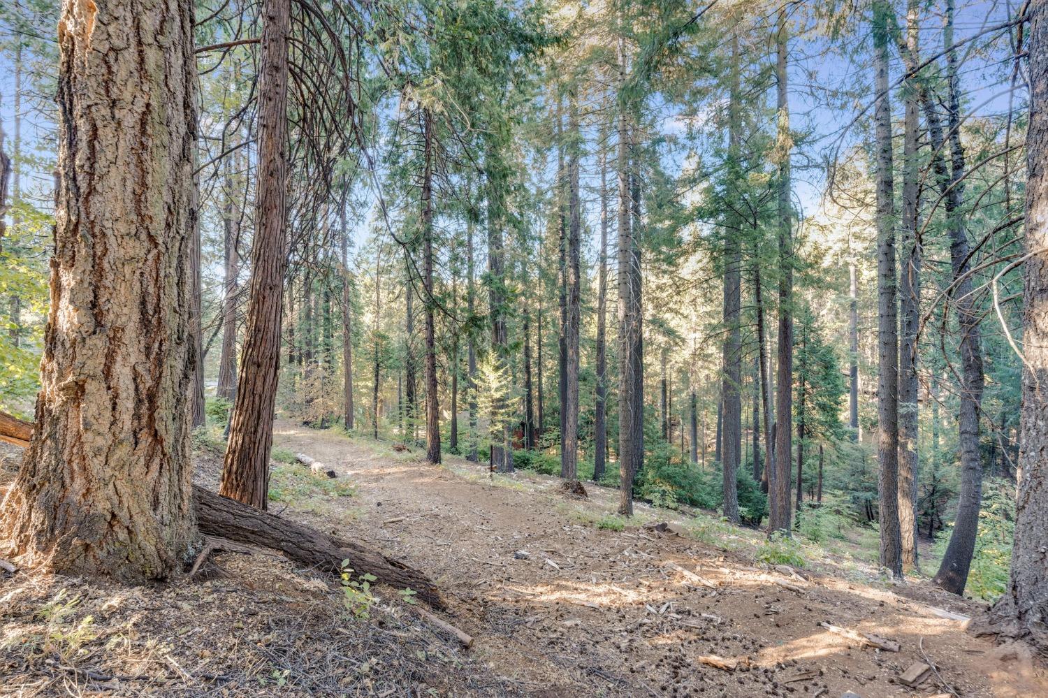 Onyx, Pollock Pines, California image 38