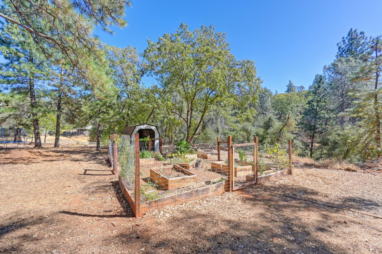 Detail Gallery Image 72 of 99 For 10493 Maranatha Pl, Grass Valley,  CA 95949 - 3 Beds | 2 Baths