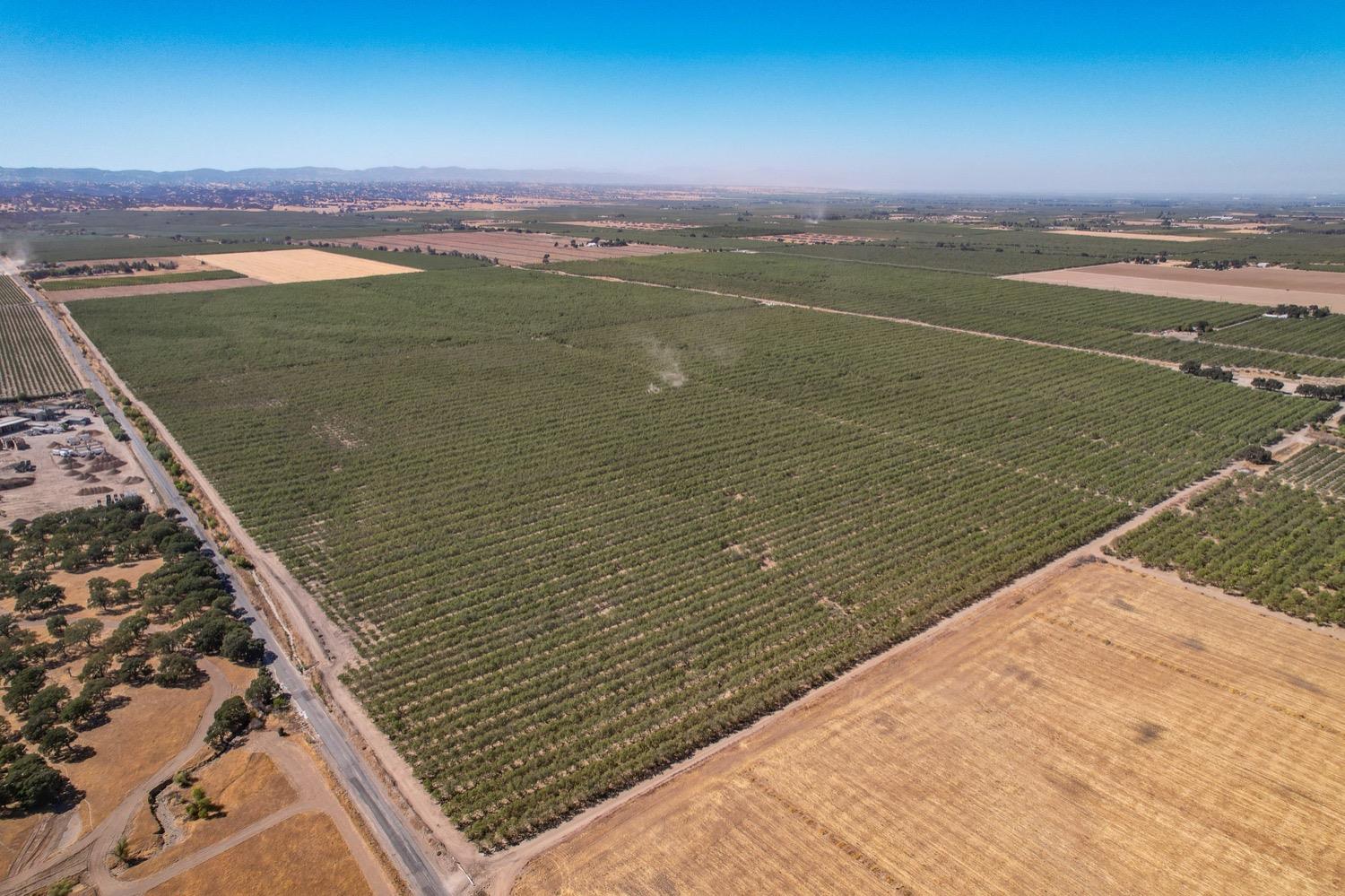 Road 2, Arbuckle, California image 3