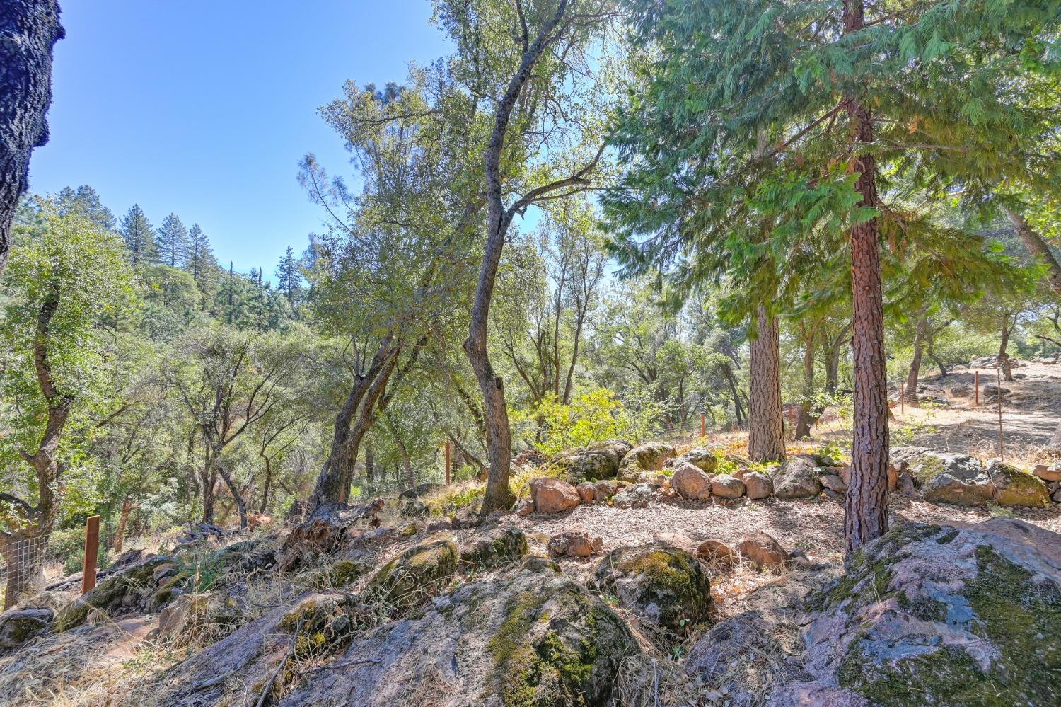 Detail Gallery Image 55 of 99 For 10493 Maranatha Pl, Grass Valley,  CA 95949 - 3 Beds | 2 Baths