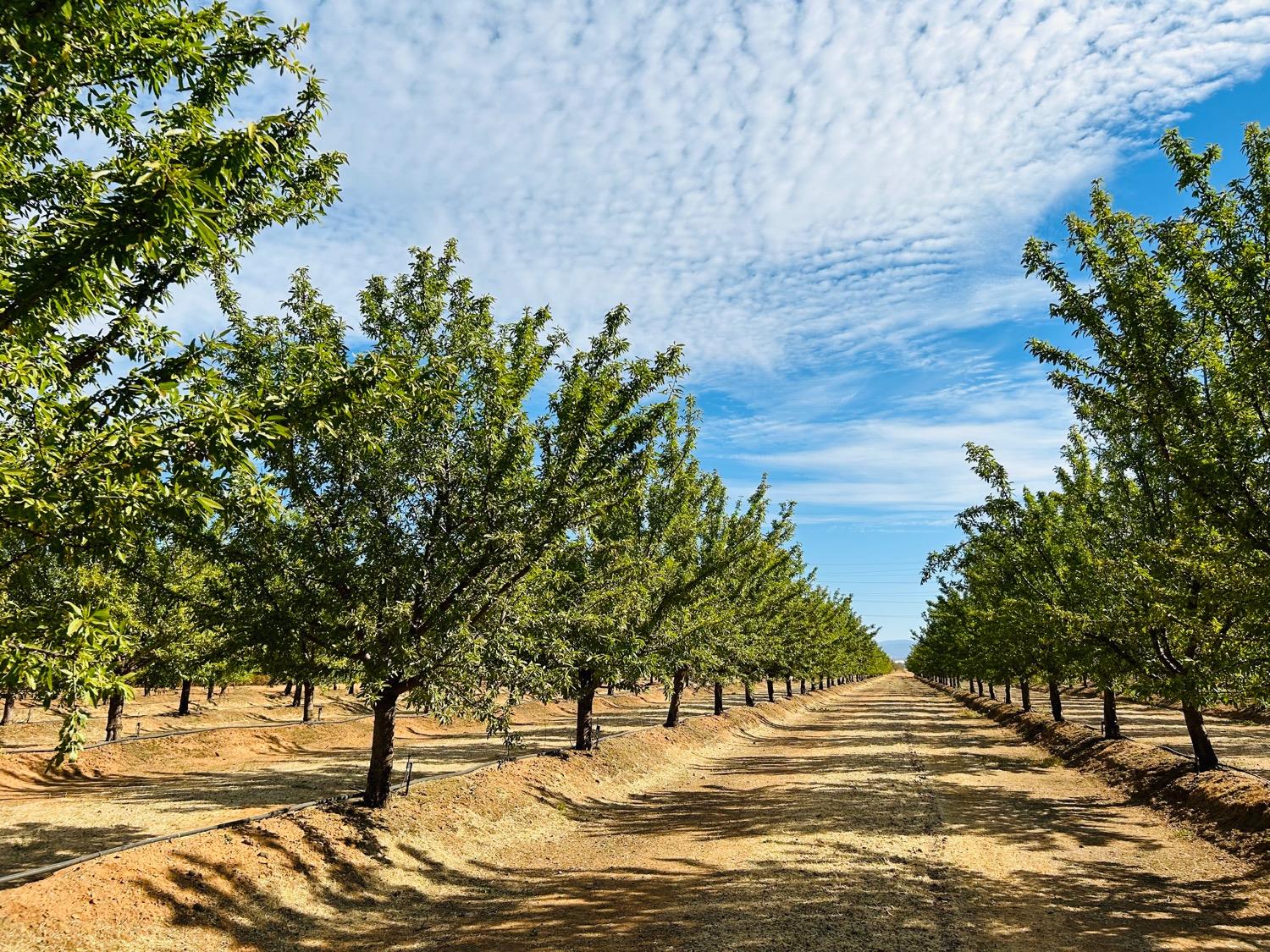 Iowa City Road, Marysville, California image 1