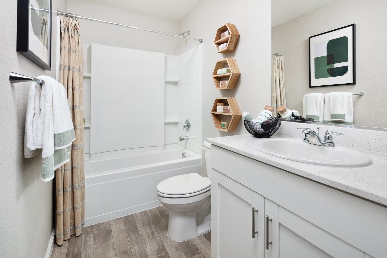 Detail Gallery Image 9 of 11 For 18418 Inland Passage Way, Lathrop,  CA 95330 - 3 Beds | 2/1 Baths