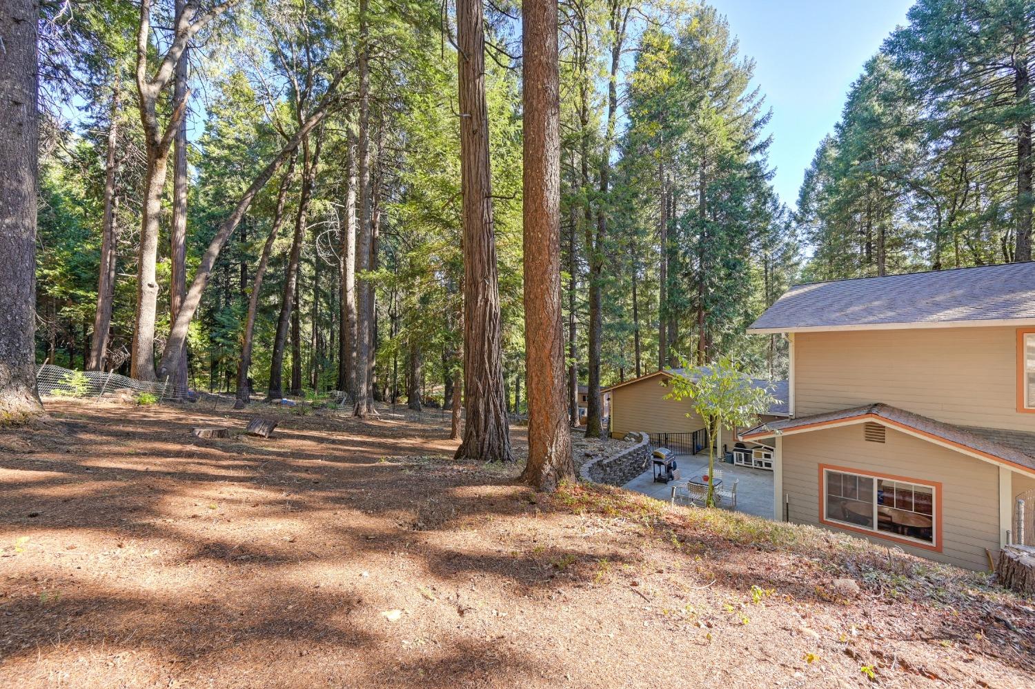 Detail Gallery Image 59 of 62 For 2090 Bourbon St, Pollock Pines,  CA 95726 - 3 Beds | 2 Baths