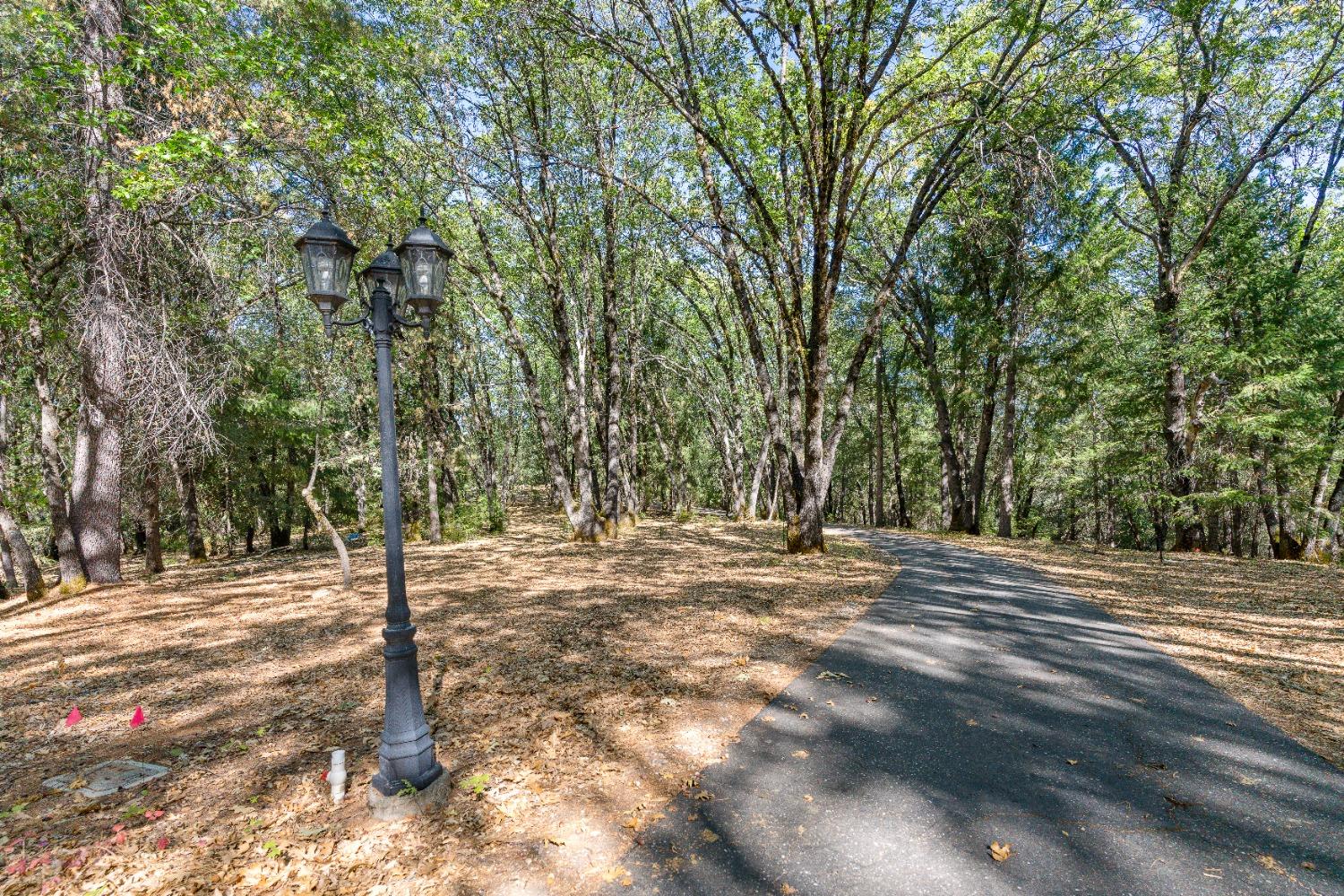 Detail Gallery Image 60 of 70 For 16650 Lawton Way, Grass Valley,  CA 95945 - 3 Beds | 3/1 Baths