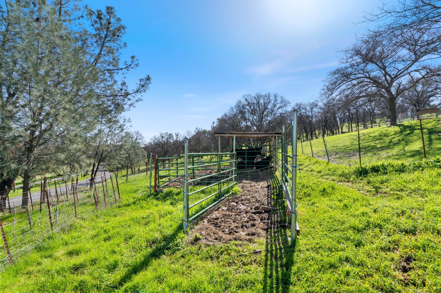 Detail Gallery Image 12 of 41 For 6992 Riata Way, Angels Camp,  CA 95222 - 3 Beds | 2 Baths