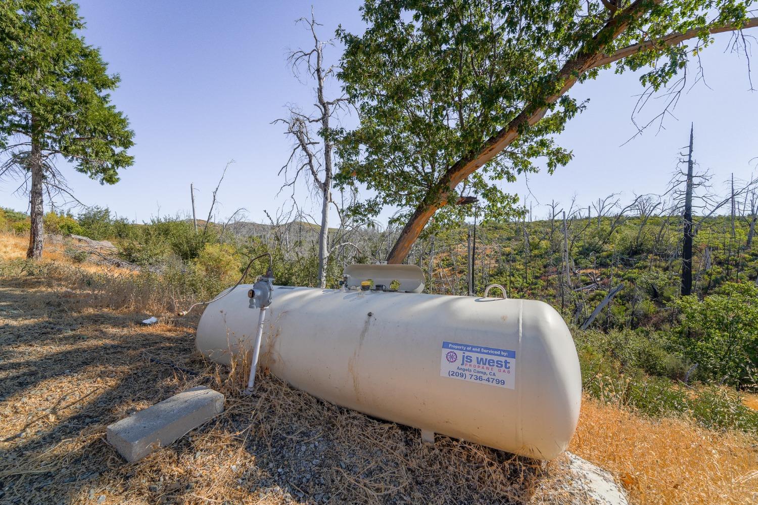 Mulberry Street, Mountain Ranch, California image 36