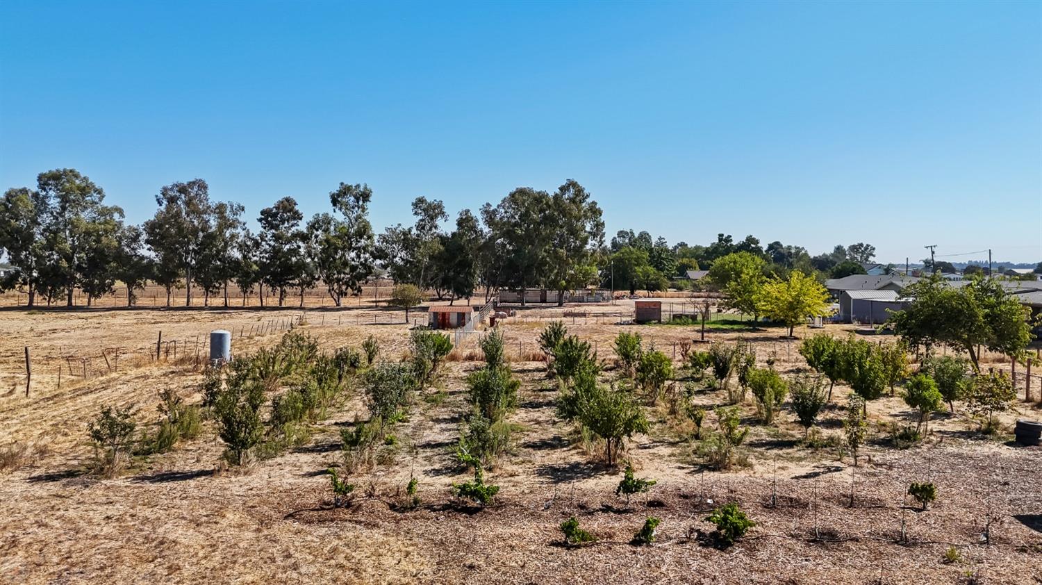 Detail Gallery Image 57 of 85 For 10855 E Tokay Colony Rd, Lodi,  CA 95240 - 3 Beds | 2 Baths