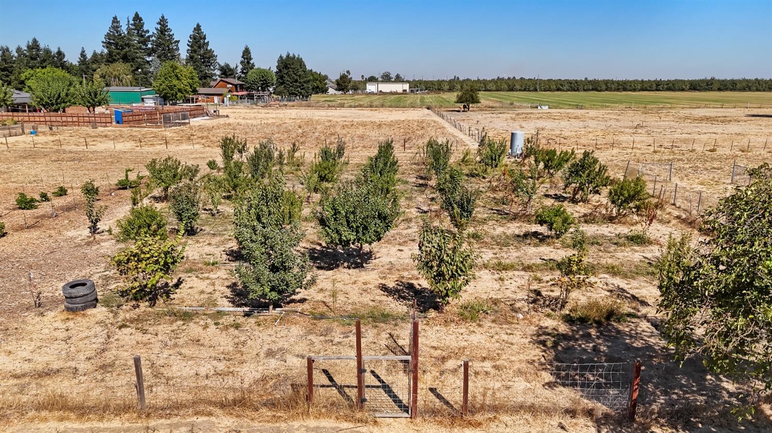 Detail Gallery Image 55 of 85 For 10855 E Tokay Colony Rd, Lodi,  CA 95240 - 3 Beds | 2 Baths