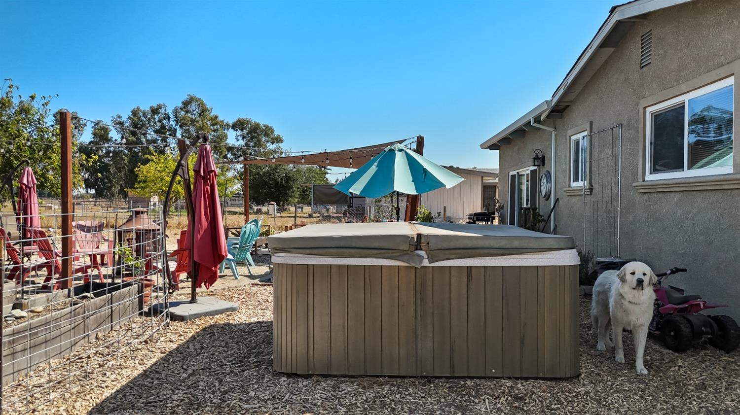 Detail Gallery Image 49 of 85 For 10855 E Tokay Colony Rd, Lodi,  CA 95240 - 3 Beds | 2 Baths