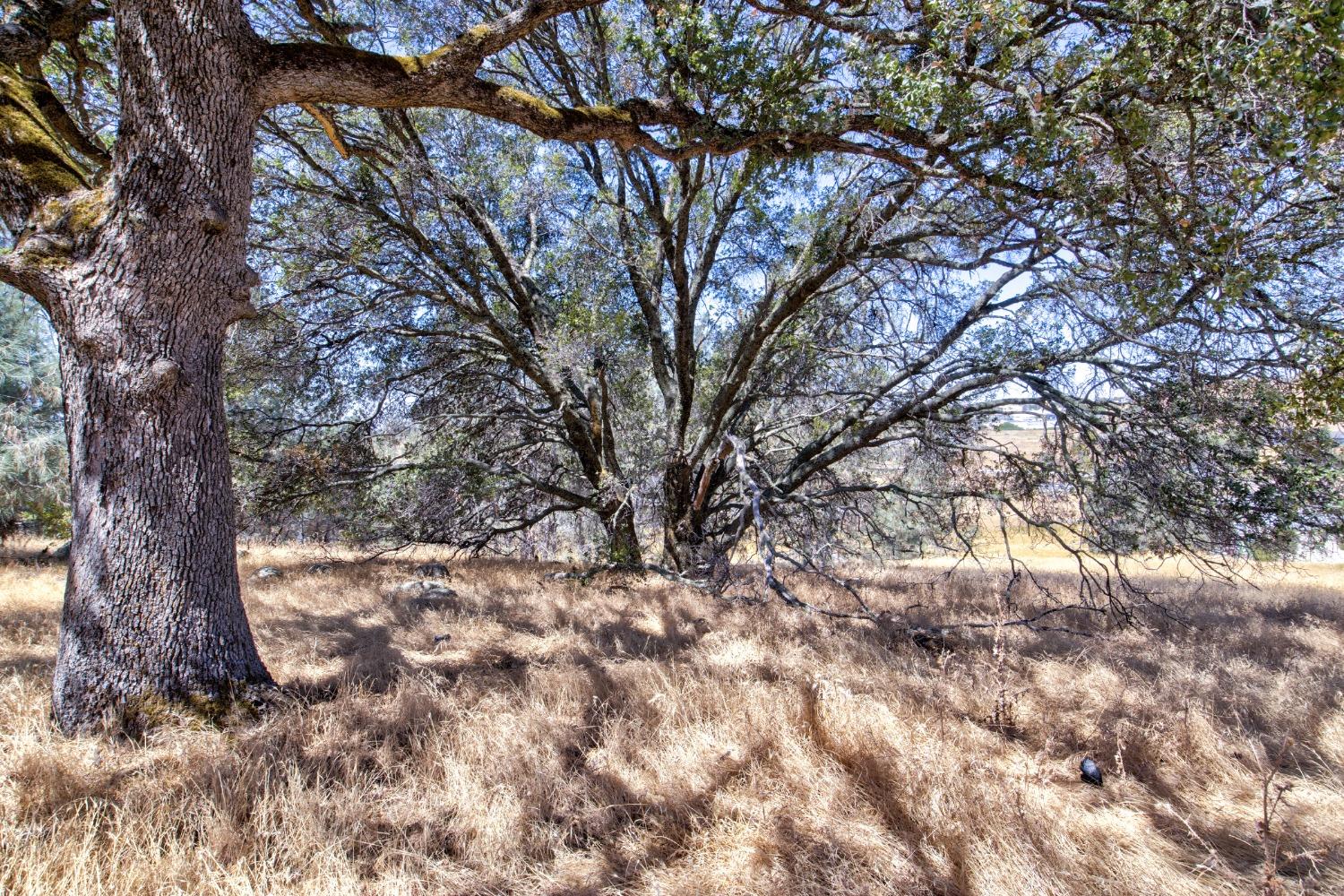 Jackson Gate Road, Jackson, California image 30