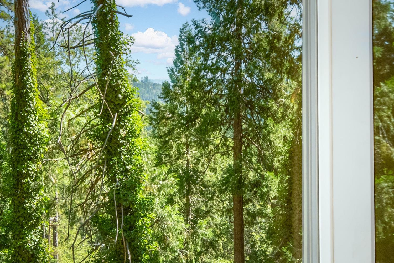 Detail Gallery Image 9 of 60 For 11422 Marjon Dr, Nevada City,  CA 95959 - 3 Beds | 2 Baths