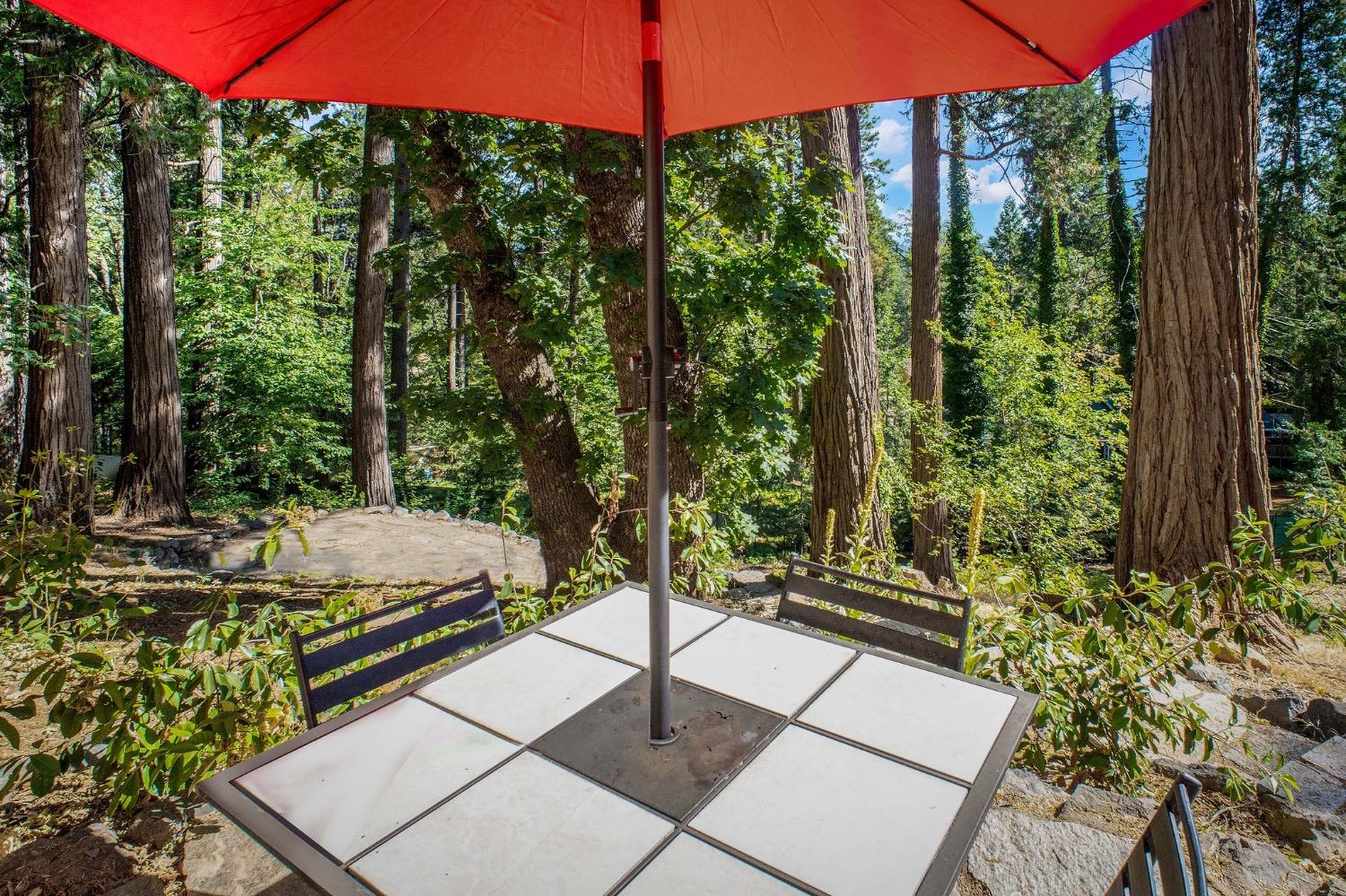 Detail Gallery Image 46 of 60 For 11422 Marjon Dr, Nevada City,  CA 95959 - 3 Beds | 2 Baths